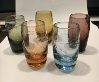 Set Of 5 Vtg Different Colored Glass Etched Shot Glasses Cordials