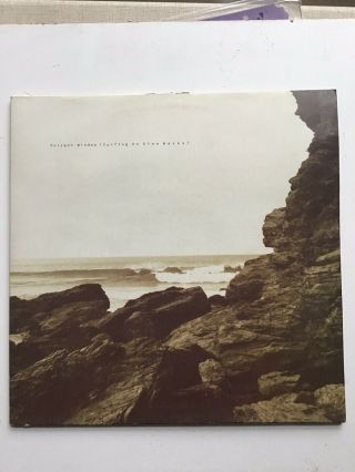 Surfing On Sine Waves Vinyl Polygon Window /aphex Twin Double Album