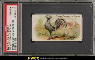 1891 N20 Allen & Ginter Prize & Game Chickens Silver Spangled Polish Psa 4 Pwcc