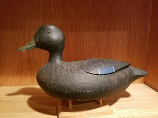 Exceptional Old Raised Wing Glasseye Canadian Black Duck Wooden Decoy
