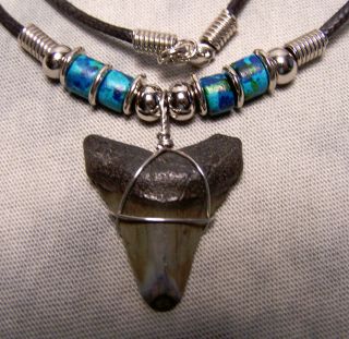 Mako Shark Tooth Necklace 1 1/8 " Fossil Teeth Jaw Megalodon Scuba Dive Colors
