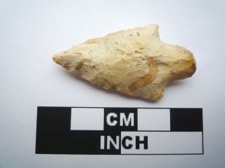 Native American Arrowhead 41mm,  Archaic Artifact,  1000bc - 8000bc (0811)