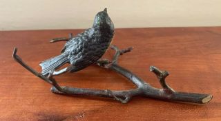 Antique Cold Painted Vienna Bronze Robin Bird Branch Twig Signed 5” X 4 1/2” 3