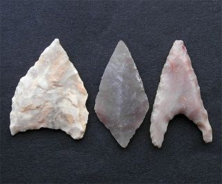 3 Ancient Neolithic Flint Arrowheads Found In Languedoc