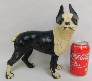 Vintage Antique Hubley Cast Iron Boxer Dog Boston Terrier Pitbull Door Stop Rare