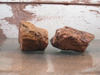 Petrified Limb Cast Natural Solid Agate Fossil [2] 1lbs 0oz {T1517I} 2