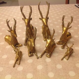 Vintage Set Of 8 Solid Brass Sitting Deer Statue