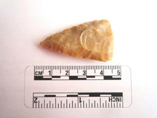Native American Arrowhead 43mm,  Archaic Artifact,  1000bc - 8000bc (2295)
