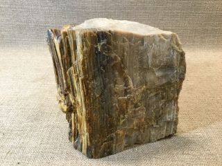 6.  5 Pound Natural Polished Petrified Wood Wedge Bookend Fossil Madagascan 3