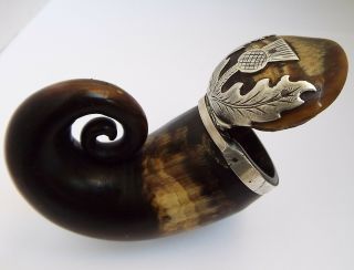 Rare Scottish Antique Georgian C.  1815 Solid Silver & Rams Horn Snuff Mull