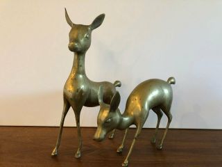 2 Heavy Vintage Mid Century Brass Deer Doe Statues Large 15” & 9 " Christmas