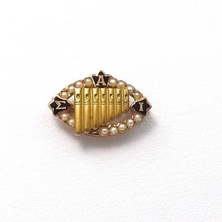 Vintage 10k Gold Sigma Alpha Iota Fraternity Sorority Seed Pearl Enamel Pin