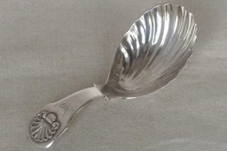 A Rare Georgian Sterling Silver Tea Caddy Spoon By Elizabeth Morley Dates 1811.
