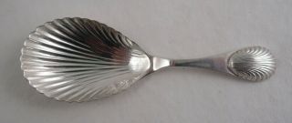 A.  Chick & Sons Sterling Silver Tea Caddy Spoon Shell English