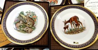 Vintage Set of 8 LENOX Boehm Woodland Wildlife Plates w/COA’s & Boxes 2