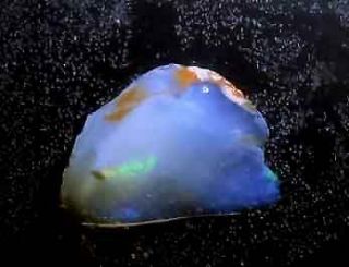 6.  1cts Virgin Valley Precious Opal Petrified Wood Nevada 15mm 3