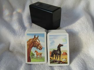 2 Decks Vintage Kem Plastic Playing Cards American Horses With Bakelite Case Exc