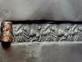 Imazing Extremely Rare Ancient Cylinder Seal/animal 3,  0 Gr.  15 Mm