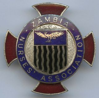 Vintage Zambia Nurses Association Member Badge Pin Grade