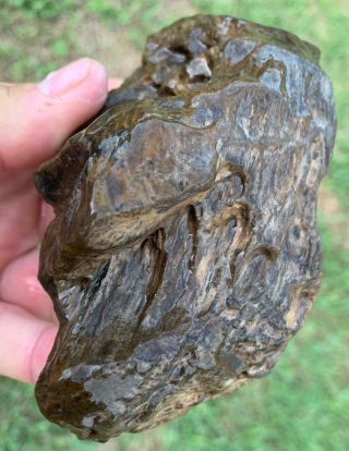 Texas Petrified Agatized Wood Pocket Rot Buggy Natural River Polished