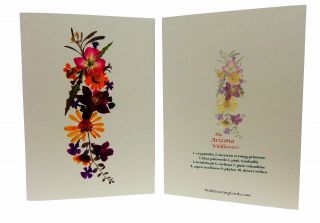 Greeting Card Rack Set of (120) Wild Flower Designs 2