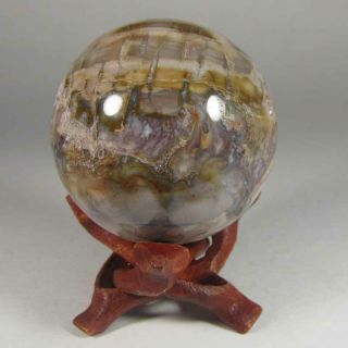 2.  1 " Petrified Wood Sphere Ball W/ Stand - Madagascar - 53mm