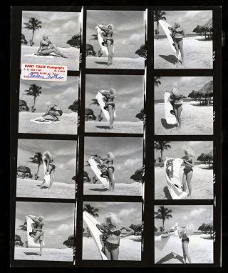 1960s Bunny Yeager Contact Sheet 12 Frames Charlene Mathis Brat Pack Playmate Nr