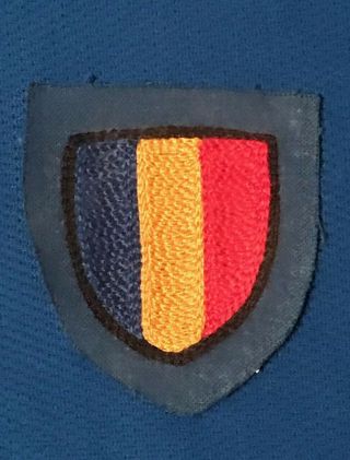 Ww2 German Romania Sleeve Shield ?