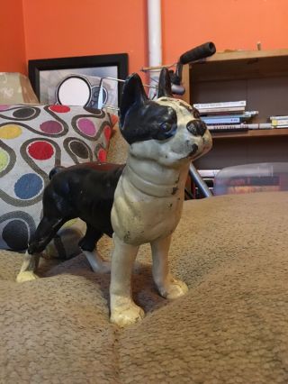 Rare Forward Facing Boston Terrier Cast Iron Door Stop Hubley Icc Co Dog Art