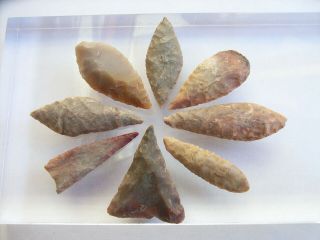 8 Ancient Neolithic Flint Arrowheads,  Stone Age,  Very Rare Top