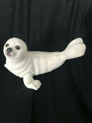 Lenox Harp Seal Pup Endangered Baby Animals 1993