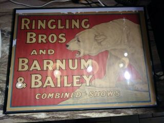 Ringling Brothers Barnum Bailey Circus Poster Polar Bear