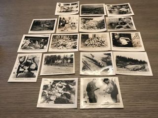 17 Rare Wwii Official Photos Starvation Concentration Camps Taken By U.  S.  Army