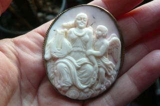 Victorian Carved Angel Pink Conch Shell Cameo And Gilt Metal Brooch