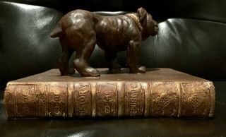 Vintage Heavy Solid Bronze French Bulldog Statue Figurine with Book Base 8.  5x8x6 2
