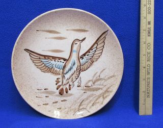 Bird Collectors Plate Decorative Enesco Vintage Brown & Teal Blue Glaze Ceramic