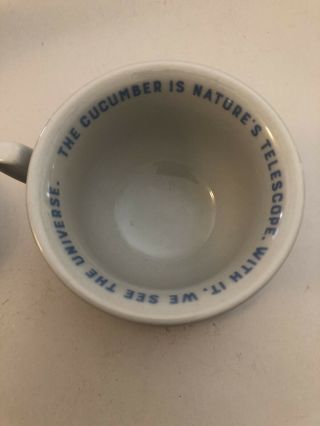 Hendrick ' s Gin The Cucumber Is Nature ' s Telescope Tea Cup With Saucer 3