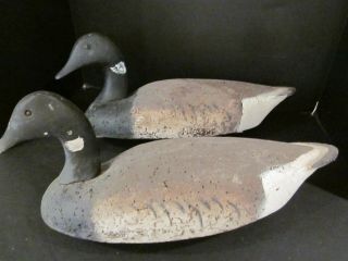 2 Old Vintage Ll Bean Cork Wood Brant Hunting Duck Geese Decoys
