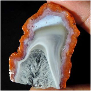 Mind Blowing Designer Natural Berber Agate Rough For Cabbing 77.  65cts.