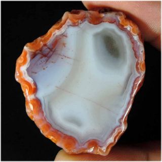 83.  20cts.  Natural Designer Morocco Berber Agate Rough For Cabbing
