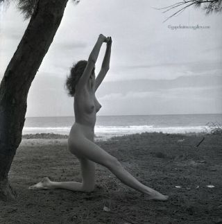 Bunny Yeager 1954 Camera Negative Photograph Pretty Pin Up Girl Nude At Beach Nr