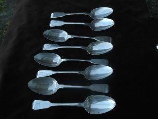 1823 Fine Set Of 8 Georgian Dessert Spoons By Thomas Chawner 330grams Cres