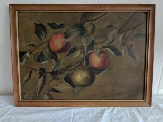 Gorgeous Vintage Still Life Oil Painting On Board Apples On Tree Branch