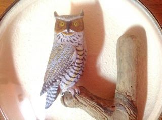 Vintage William Reinbolt Carved Great Horned Owl Mini in Convex Glass Diorama 2