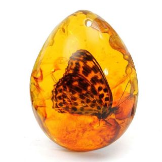Larvae Fossil Butterfly Inclusion In Natural Baltic Amber Gemstone Man - Made Gift
