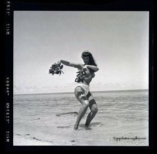Bettie Page Sexy Pin - up 1954 Camera Negative Photograph Bunny Yeager Unpublished 2