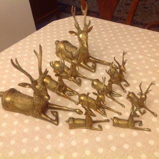 Vintage Set Of 10 Solid Brass Sitting Deer Statue 2