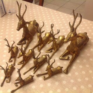 Vintage Set Of 10 Solid Brass Sitting Deer Statue 3
