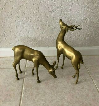Set Of 2 Large Solid Brass Deer Decorative Set Or Door Stoppers Buck Stag & Doe
