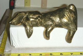 Vtg Solid Brass Sleeping Bunny/rabbit Over - The - Edge Figurine - 7 " Long